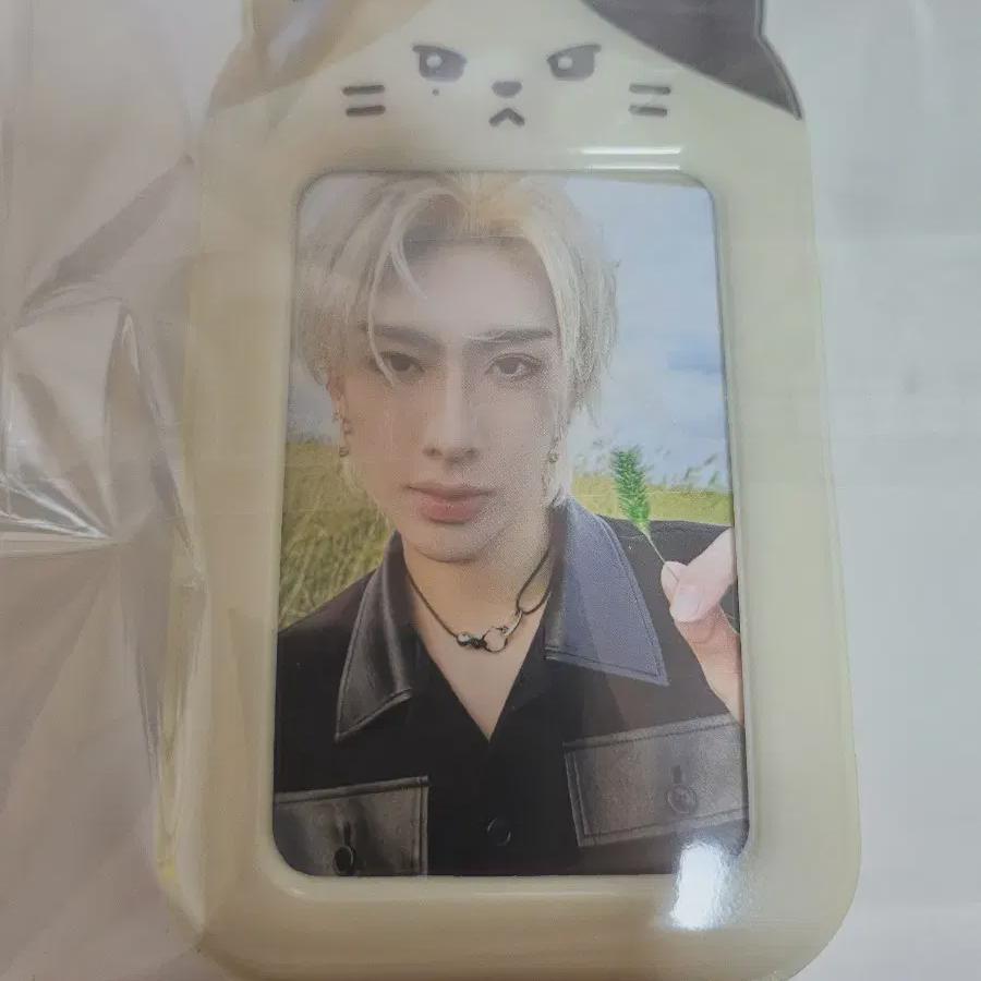 

Ricky Photocard Linini Photo Card Holder Pvc Zeroni