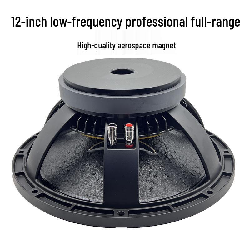 12-Inch Subwoofer, 190 Magnet, 75mm Voice Coil, Outdoor Audio Accessory