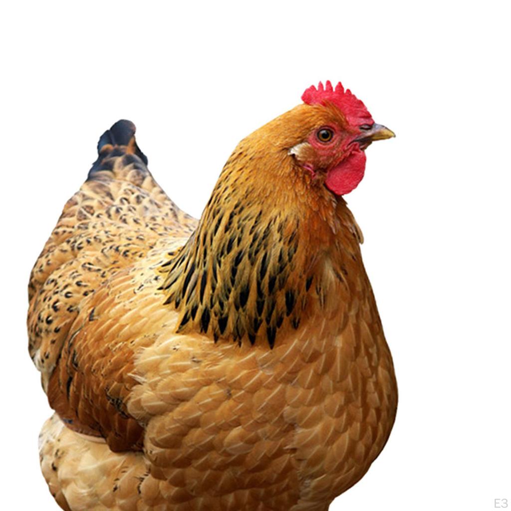 Elegante Henne-Gartenskulptur aus Metall für die Außendekoration