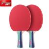 DHS Beginner Table Tennis Racket Set Type I