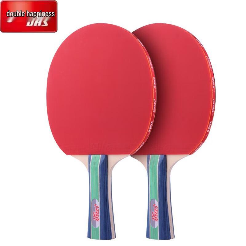 DHS Beginner Table Tennis Racket Set Type I