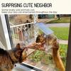 Acrylic Birdhouse Clear Glass Window Hanging Birds Squirrel Feeder Wild Animal Seed Peanut Tray with Drain Holes Strong Suction
