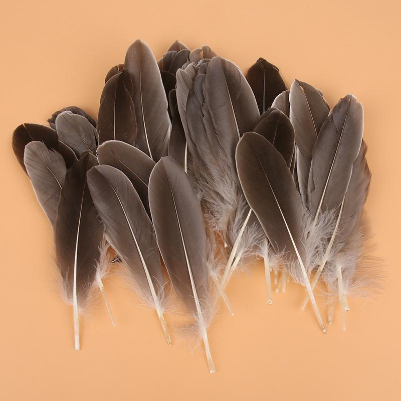 50Pcs Shellfish Feather Goose Feather Diy Handmade Jewelry Accessories Handicrafts Cat Toys Decorative Feathers