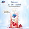 Safeguard Pomegranate Shower Gel & Lemon Hand Soap Set