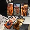 Lovely Animal Highland Cattle Phone Case For IPhone 16 15 14 13 12 Mini 11 Pro XS Max X XR SE 6 7 8 Plus Soft Silicone Cover