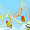 Parrot Swing Toy Wood Chews Eco-Friendly Fashion Cartoon Hanging Rings Climbing Perch for Cockatiels Budgies. Cage