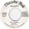 7inch Record JOHN HOLT  Try A Thing NONE Thunder Bolt Jamaica Reggae Ska  Dub Used