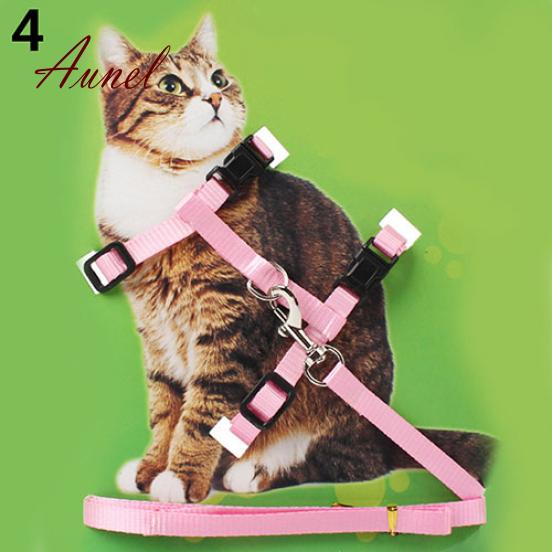Fantastisches Nylon-Haustiergeschirr, Halsband, Leine, Traktions-Sicherheitsseil