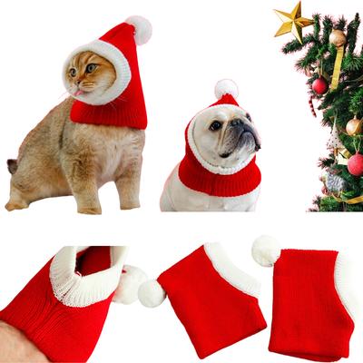 Gatos – Ropa
