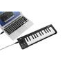 Korg microKEY 25 USB MIDI Keyboard