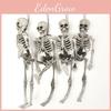 Handcrafted 15cm Mini Skeleton Perfect For Halloween Decor And Tattoo Shops
