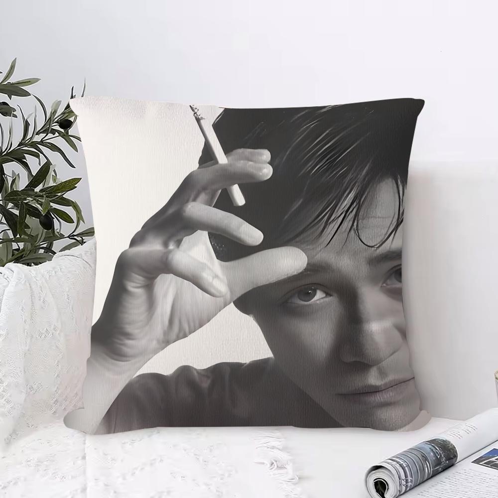 Tony Leung Chiuwai Cushion Cover Piece Short Plush Pillowcase Soft and Washable Mostly Used for Sofa Car
