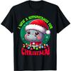 Funny Hippo Christmas I Want A Hippopotamus For Christmas T-Shirt