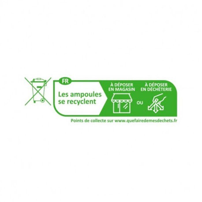 Ampoule LED E27 - MIIDEX LIGHTING - 11W 1050 lm - 6500K - 180° diffusion