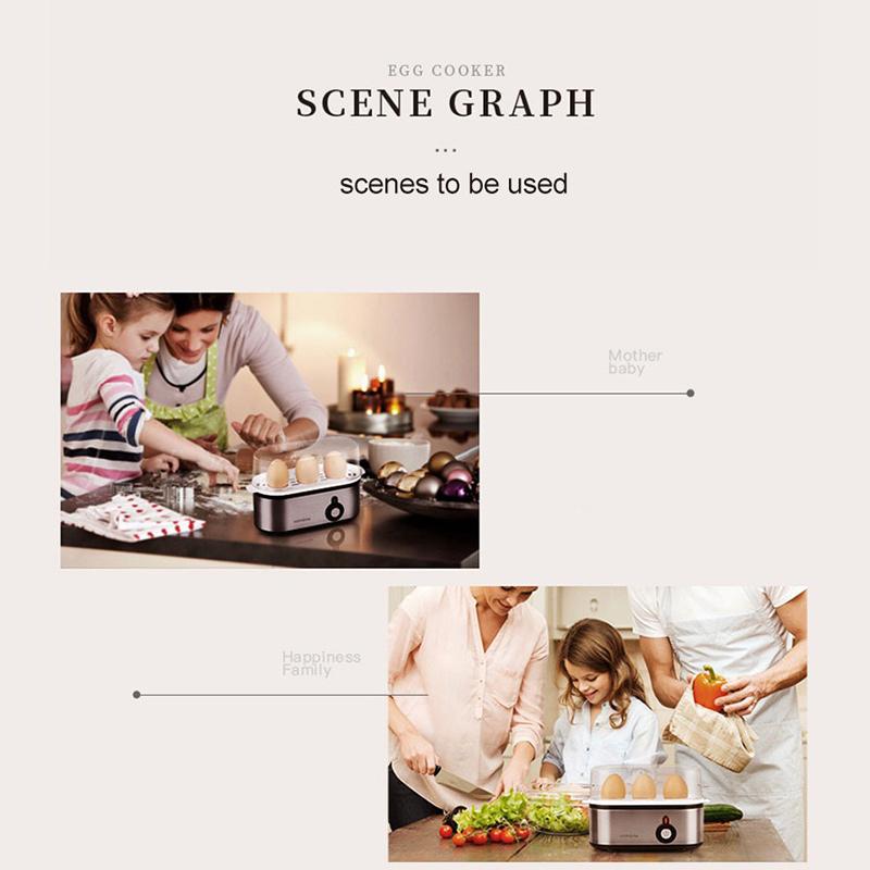 Electric Egg Cooker Controlled