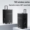 Newmine N528 15-inch Portable Trolley Bluetooth Speaker with Dual Mics (CN Version)