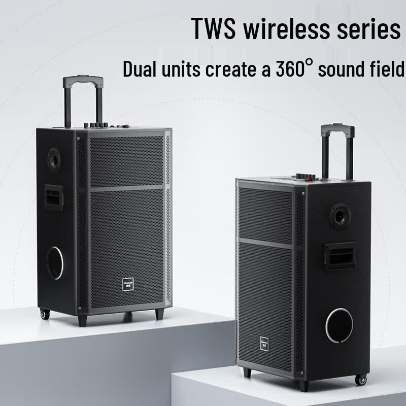 Newmine N528 15-inch Portable Trolley Bluetooth Speaker with Dual Mics (CN Version)