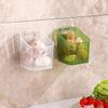 1 Pcs Kitchen Garlic Ginger And Onion Transparent Storage Basket Wall-Hanging Small Wall-Mounted Storage Box Storage Rack