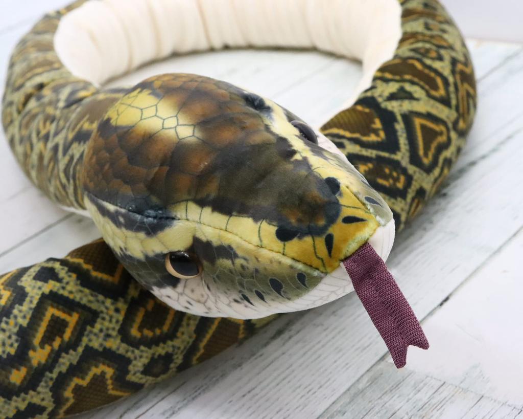 Take Off Python