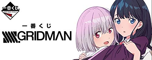 Banpresto Ichiban Kuji SSSS.GRIDMAN Prize B: Akane Shinjo Life-Size Visual Cloth