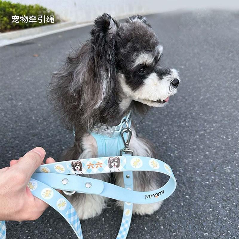 Dog training leash pet small and medium dog dog collar color dog leash