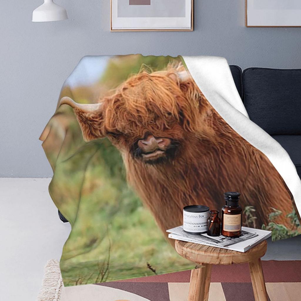 Highland Cow  Blankets Flannel Sofa Throw Blanket Multi-function for Couch Bedding Outdoor Throws Bedspread Quilt