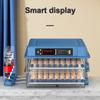 Egg Automatic Incubator for Egg Brooder 110V 220 V Power Plug Dual Duct Warm Air Internal Circulatio Automatic Hatching Egg Farm