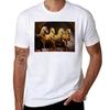 The Original Horses Of San Marco Tshirt Basic Solid Color Short Sleeve Cotton Top