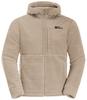 Jacket Jack Wolfskin Felslicht Hooded Jacket Men (1711141) Anise