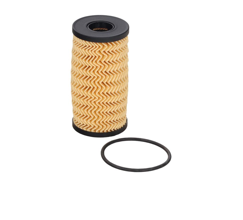 Ft38095 Fast Oil Filter