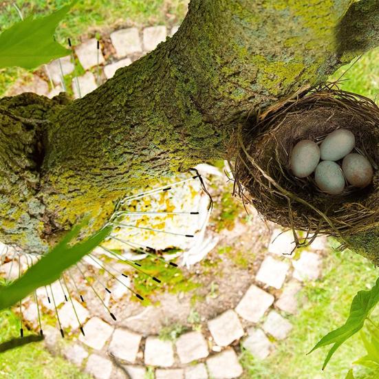 1 Set Downspout Protector Stainless Steel Marten Defence Belt Against Climbing Animals for Outdoor Home