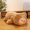Cute party model piggy throw pillow plush toy girl bed sleeping doll warm heart to accompany girlfriend birthday gift