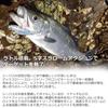 Daiwa Seabass Lure More Than Rage Fa Shad LI Clear Chart Sand - 100S-LI