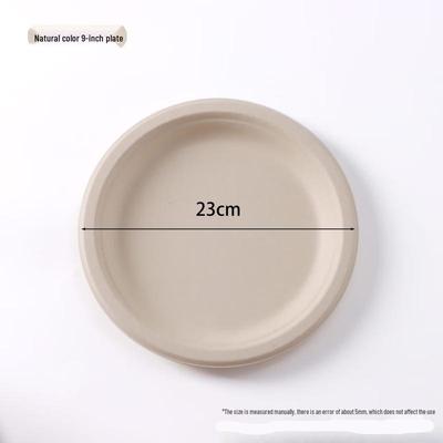 9-inch Degradable Sugarcane Pulp Dinner Plates