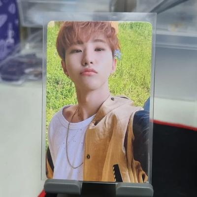 Seventeen's Choice Is Wippoka Used