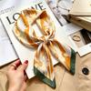 Women's spring and autumn silk scarf temperament versatile thin Internet celebrity Korean version light luxury fashion scarf high-end design small squ