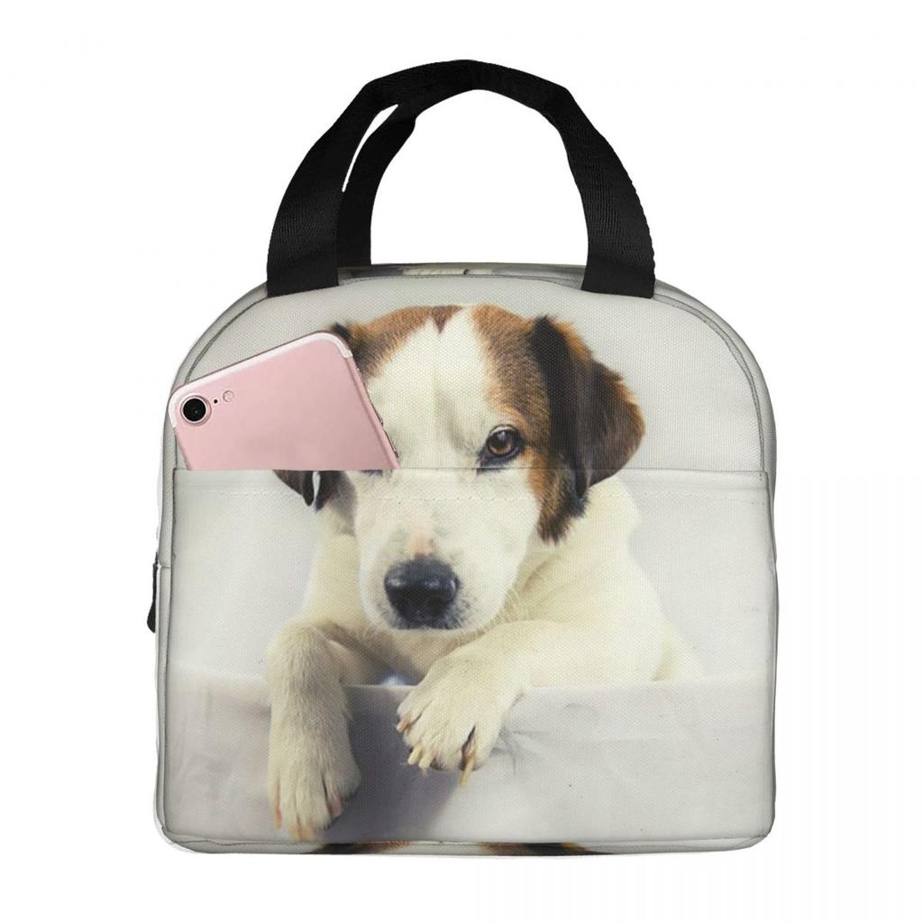 Dog Jack Russell Terrier Insulated Lunch Bag for Women Office Cooler Thermal Food Box Tote Portable Lunch Boxes Container