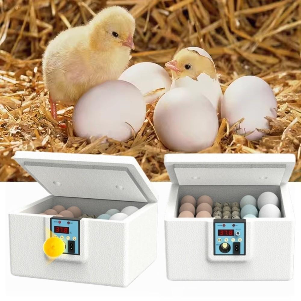 Digital Display Poultry Smart Incubator Foam Insulation Eggs Hatcher Machine Farm