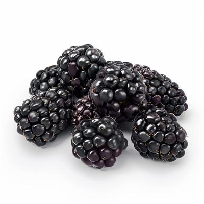 100 Wild Blackberry Seeds