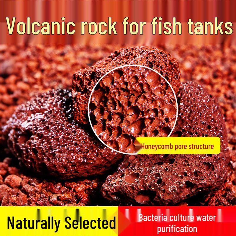 Volcanic Rock Aquarium Gravel: Natural Stones for Turtles and Fish Tanks, No Washing Needed.