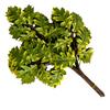 12pcs Artificial Maple Leaf Branch Waterproof Greenery Plants Foliage for Landscape Tree Making Home Decoration Outdoor Project