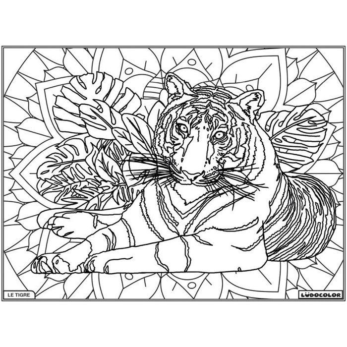 Velvet Coloring Board The Tiger