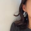 1 Pair of Zebra Stripes Geometric C-shaped Hoop Earrings Retro Trendy Resin Acrylic Stud Earrings For Women Party Jewelry Gifts