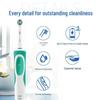 Oral-B D12 Electric Toothbrush (Two-Pack) CN plug (adapter included)