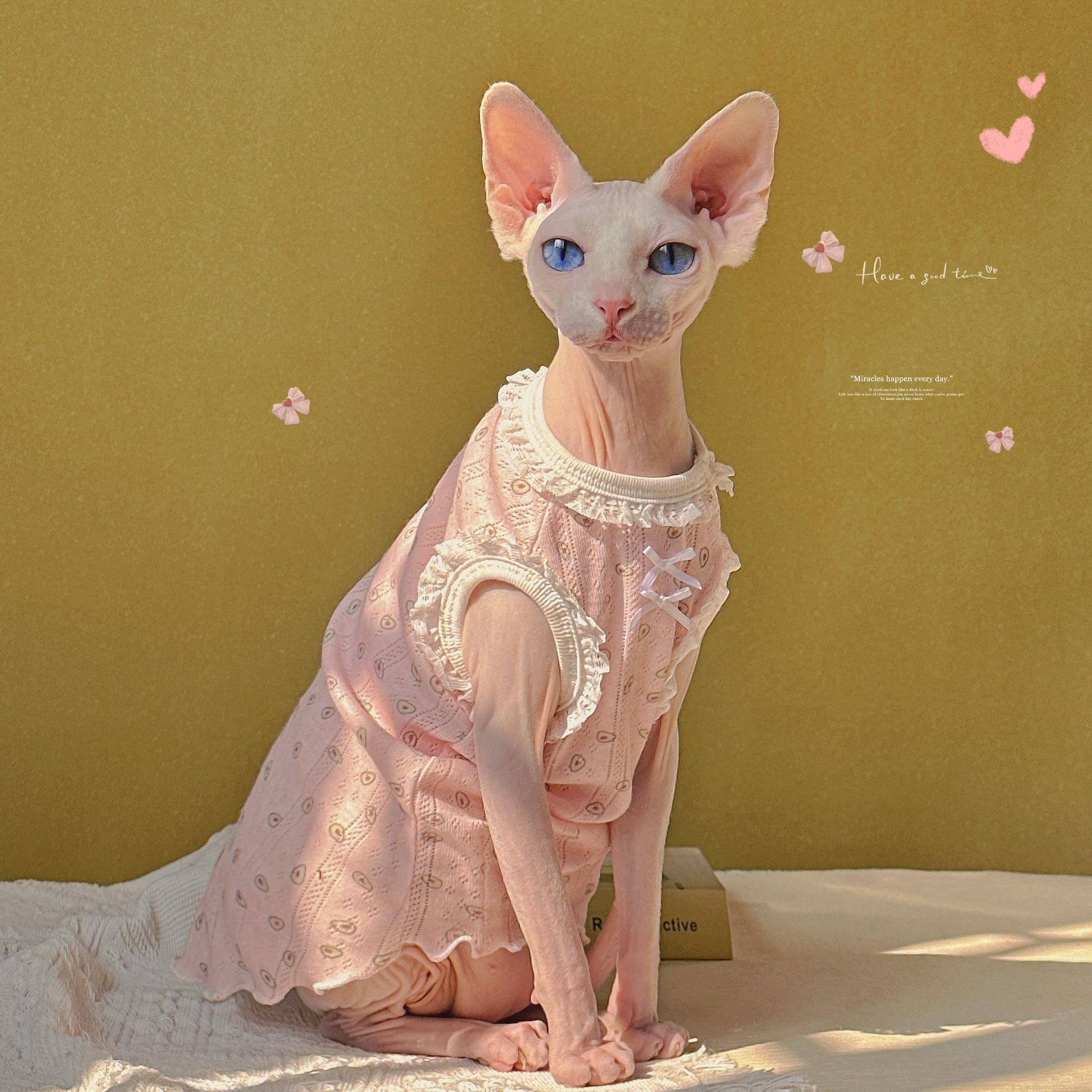 

«Твои глаза полны нежности». Кружевной жилет без рукавов с ароматом феи, одежда для безволосых кошек сфинкса XXL