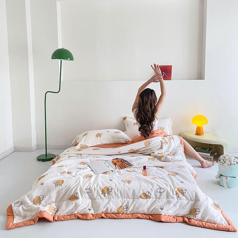 Plover Skin-Friendly Breathable Summer Quilt