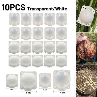 10 SZT. Pudełko do szczepienia Kula do rozmnażania Plastikowe Przezroczyste 5cm/8CM