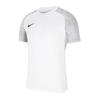Nike Dri-FIT Strike II Jr T-shirt (CW3557-100)