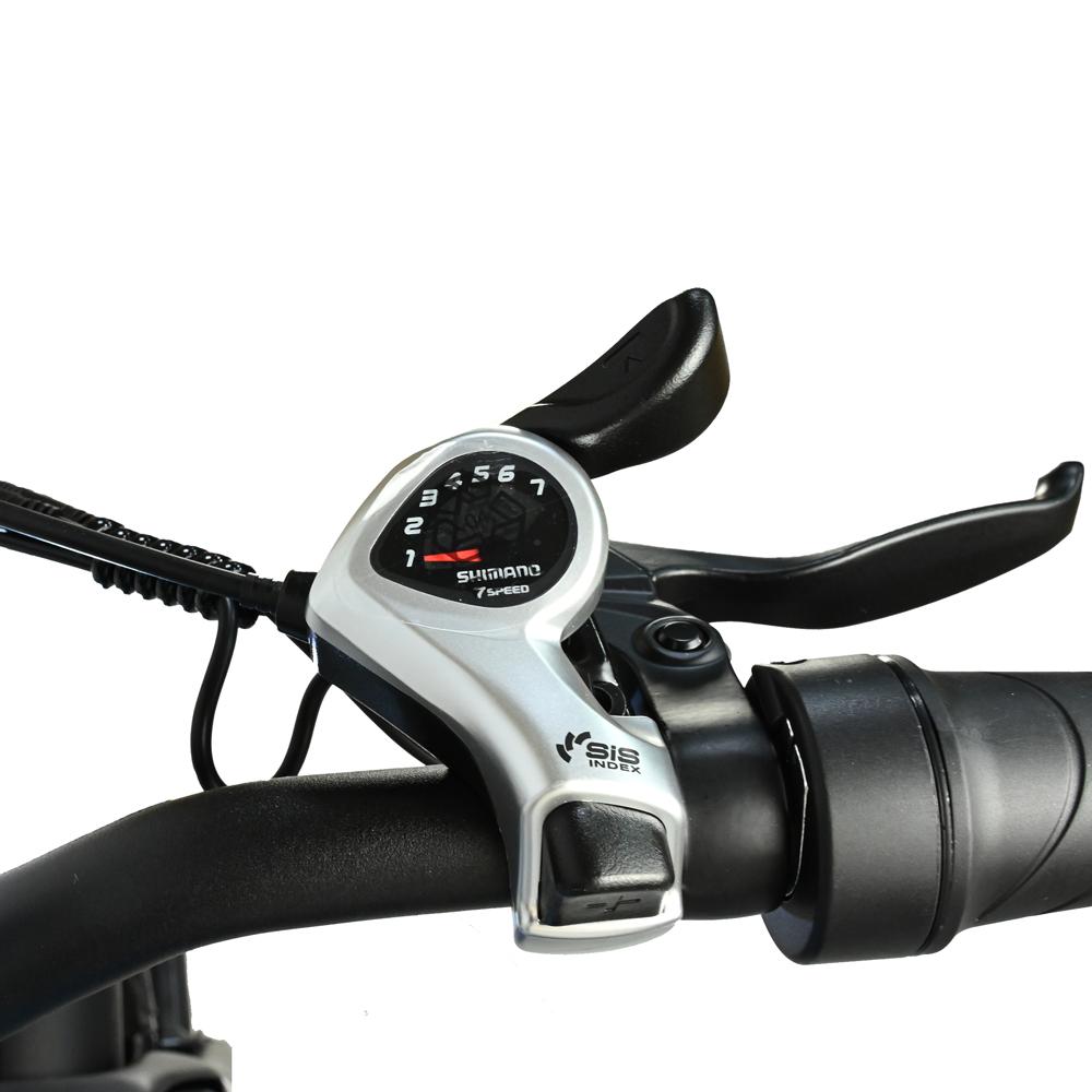 BAOLUJIE DP-2619 Speichenrad Erwachsenen Elektrofahrrad 750W Motor 48V13AH Batterie 26*4 Zoll Fat Tire E-Bike Mountain Offroad Elektrofahrrad