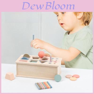 Montessori Wooden Color Shape Sorting Box For Early Childhood Development